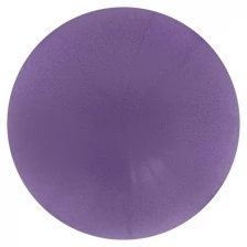 Sangh Мяч для йоги, 25 см, 130 г, цвет фиолетовый