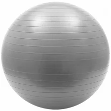 FBA-55-6 Мяч гимнастический Anti-Burst 55 см (серый)